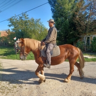 szuret-2024-0026